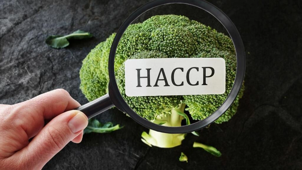 HACCP - Segurança alimentar HACCP - Segurança alimentar