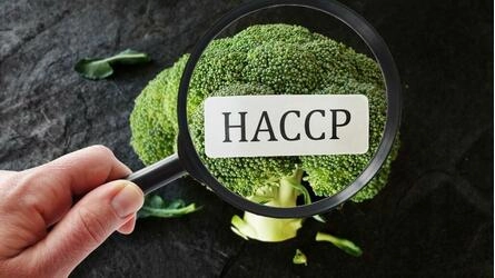 HACCP - Food safety