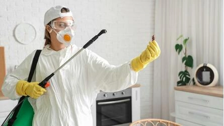 Preventive and Corrective Pest Control